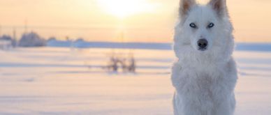 Inview November 2023