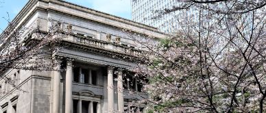 MFN - What to expect from the BoJ