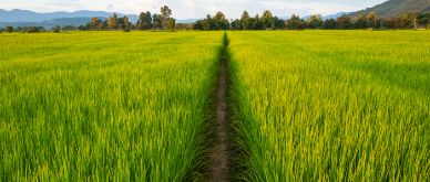 Peak interest rates in the US provide opportunities for investors