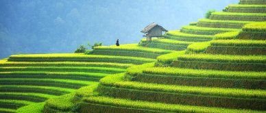 Earnings expected to remain robust, with an improved economic growth outlook