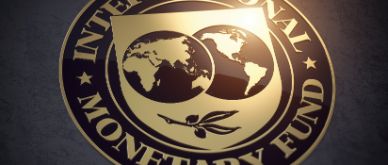 MFN - IMF: a rocky recovery