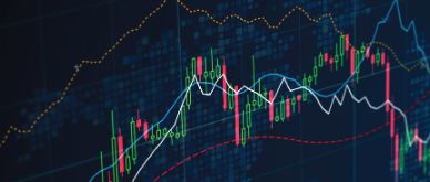 Infocus - past and future stock returns