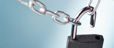 Insight Q1 2021 - Opening up... or not?