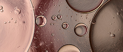 New Capital All Weather Fund